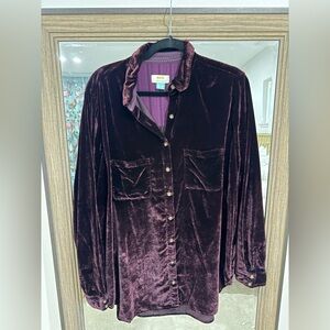 Anthropologie Velvet Button Down Shirt - Deep Purple